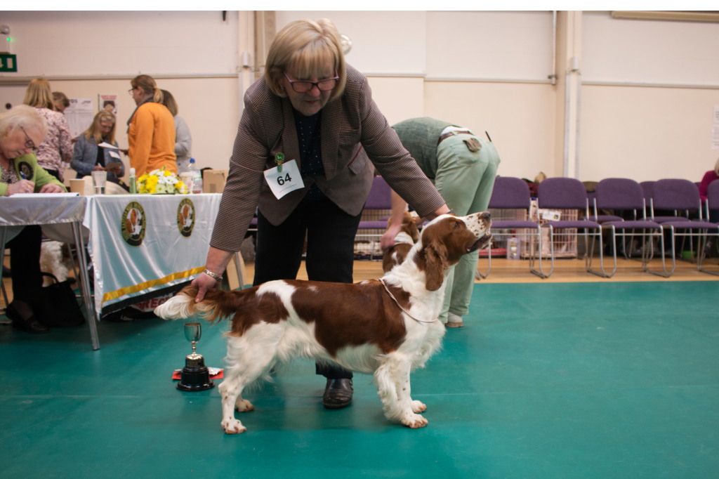 Limit Bitch Limit Bitch